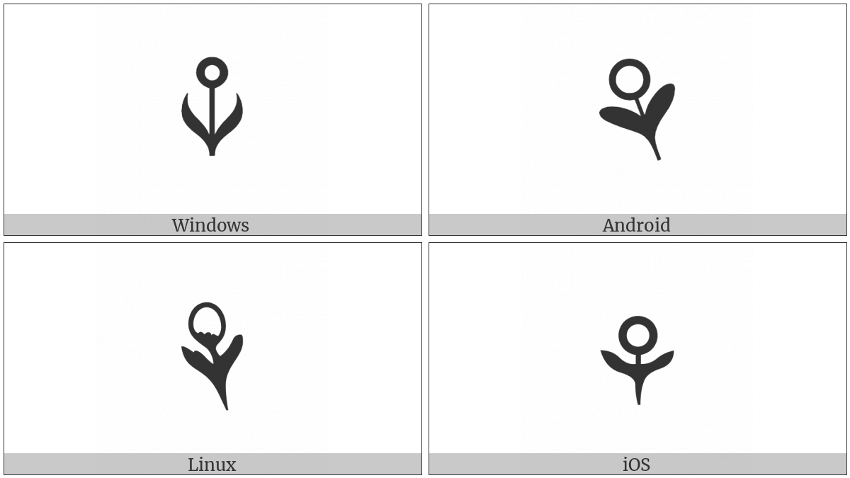 Flower on various operating systems