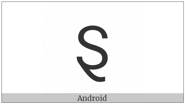 Latin Capital Letter S With Swash Tail on various operating systems