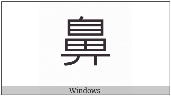 Kangxi Radical Nose on various operating systems