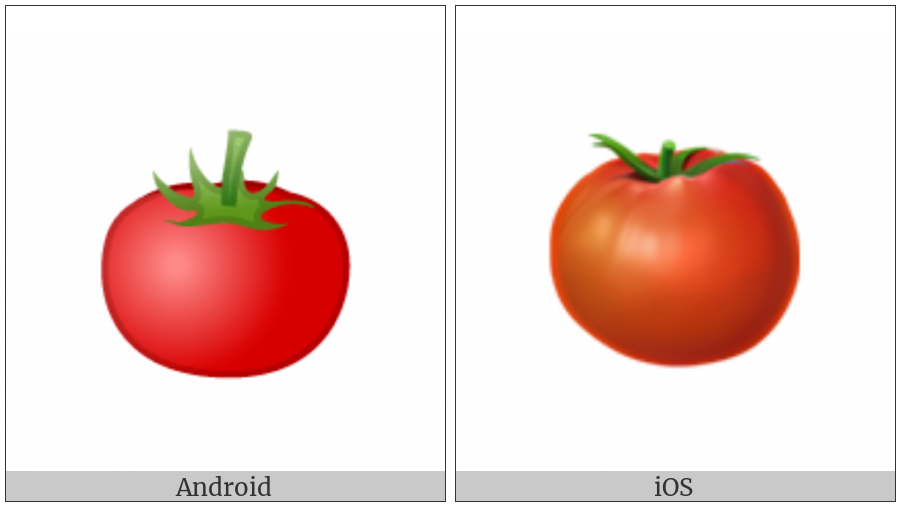 Tomato on various operating systems
