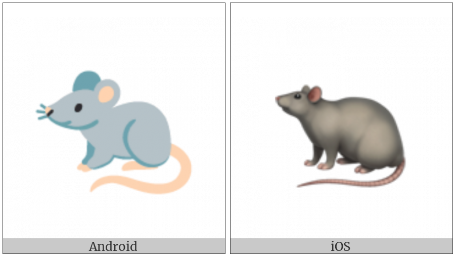 Rat on various operating systems