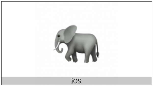 Elephant on various operating systems