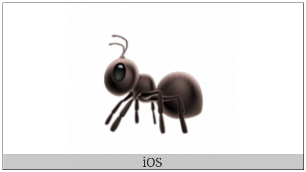 Ant on various operating systems