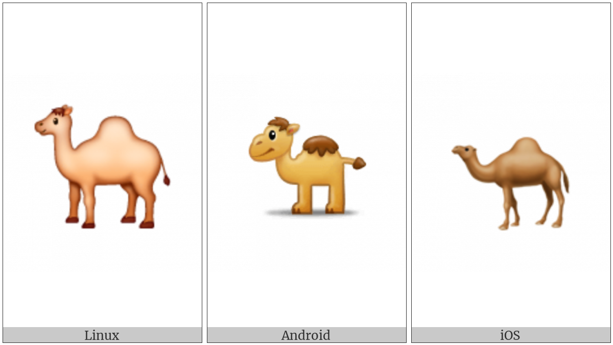 Dromedary Camel on various operating systems
