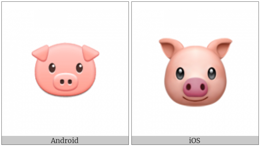 Pig Face on various operating systems