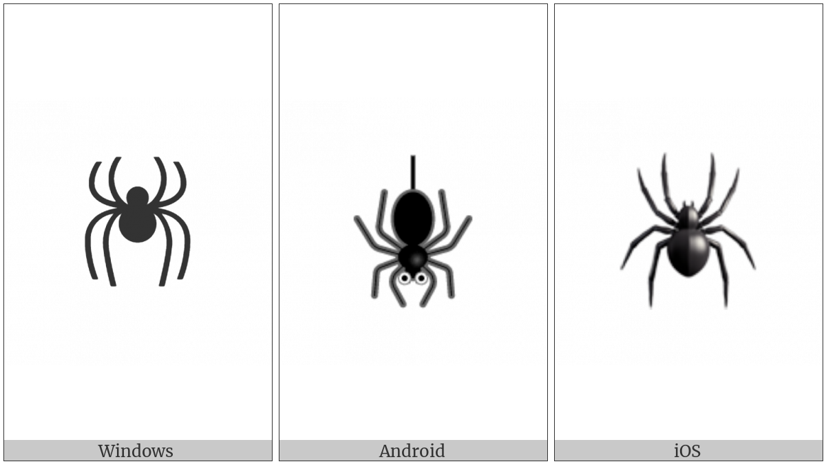 Spider on various operating systems
