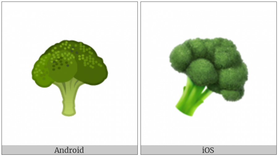 Broccoli on various operating systems