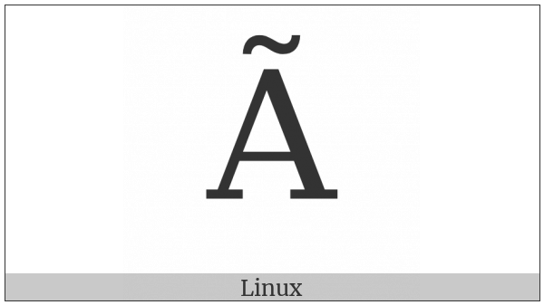 Latin Capital Letter A With Tilde on various operating systems