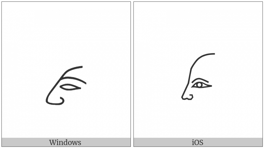 Egyptian Hieroglyph D020 on various operating systems