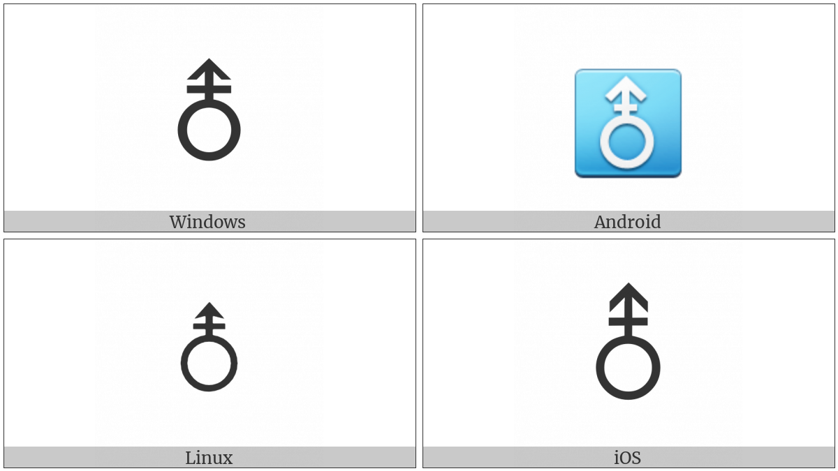Vertical Male With Stroke Sign on various operating systems